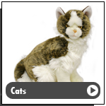 Plush Cats